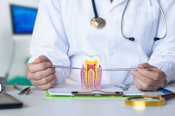 Best Same-Day Emergency Dentist in Sheridan, IL